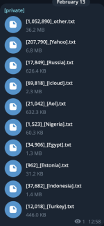 Screenshot 2025-02-13 at 13.00.00.png