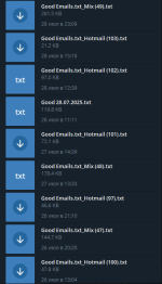 1753744230026.png