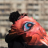 v1_akira