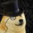 Mister Doggy